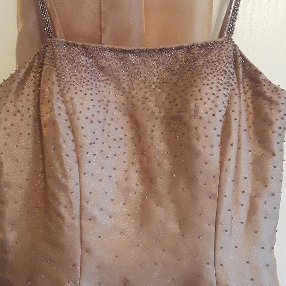 Nina Canacci evening gown